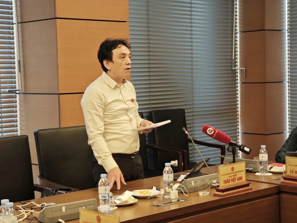 ĐBQH Trần Việt Anh, Ủy viên chuyên trách Ủy ban Văn hóa, Giáo dục của Quốc hội dbqh-lo-bao-ton-di-tich.jpg