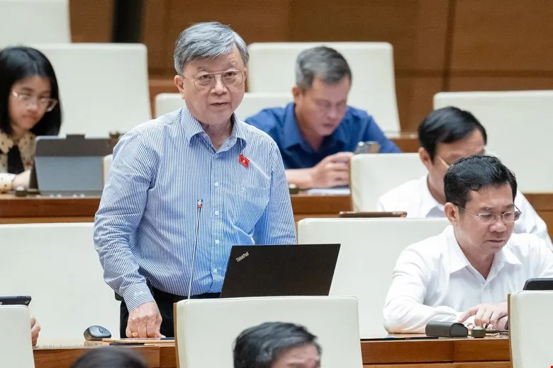 ĐBQH Trương Trọng Nghĩa cho rằng tỷ lệ cấp phép khai thác khoáng sản thông qua đấu giá đạt thấp có nguy cơ làm thất thoát tài nguyên của quốc gia, khiến ngân sách nhà nước thất thu. Đại biểu quốc hội lo tỷ lệ cấp phép khai thác khoáng sản thông qua đấu giá đạt thấp có nguy cơ thất thoát ngân sách