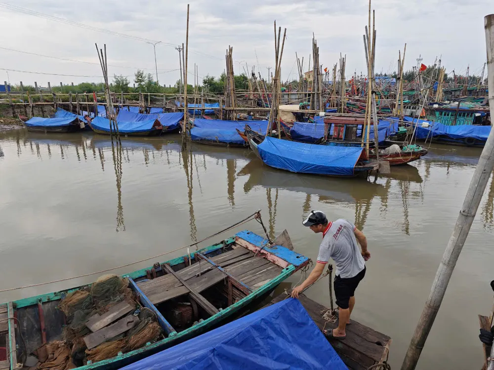 Ngư dân Nam Định chằng buộc, che bạt thuyền tại âu tàu Ninh Cơ 1, xã Phúc Thắng, huyện Nghĩa Hưng (Nam Định). (Ảnh: Trọng Phú) bao-so-3-ngu-dan-nam-dinh2.jpg
