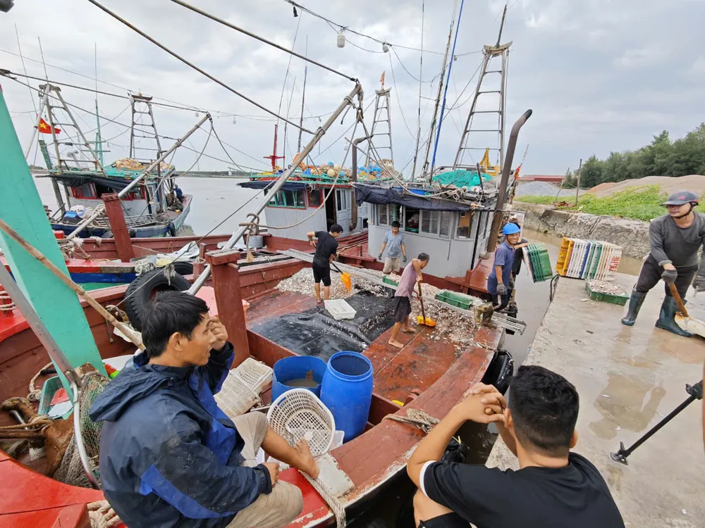 Ngư dân Trần Văn Lập (đội 6, xã Phúc Thắng, huyện Nghĩa Hưng, Nam Định) chia sẻ chuyến ra khơi phải dừng đột ngột, và lỗ nặng vì gặp bão số 3. (Ảnh: Trọng Phú) bao-so-3-ngu-dan-nam-dinh3.jpg