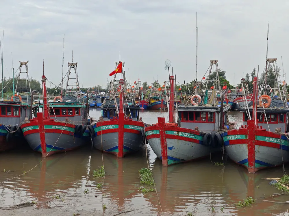 Sáng ngày 6-9, khoảng 400 chiếc tàu thuyền đã dồn về, chen chúc nhau tránh siêu bão số 3 – YAGI tại âu tàu Ninh Cơ 1, xã Phúc Thắng, huyện Nghĩa Hưng (Nam Định). (Ảnh: Trọng Phú) bao-so-3-ngu-dan-nam-dinh4.jpg
