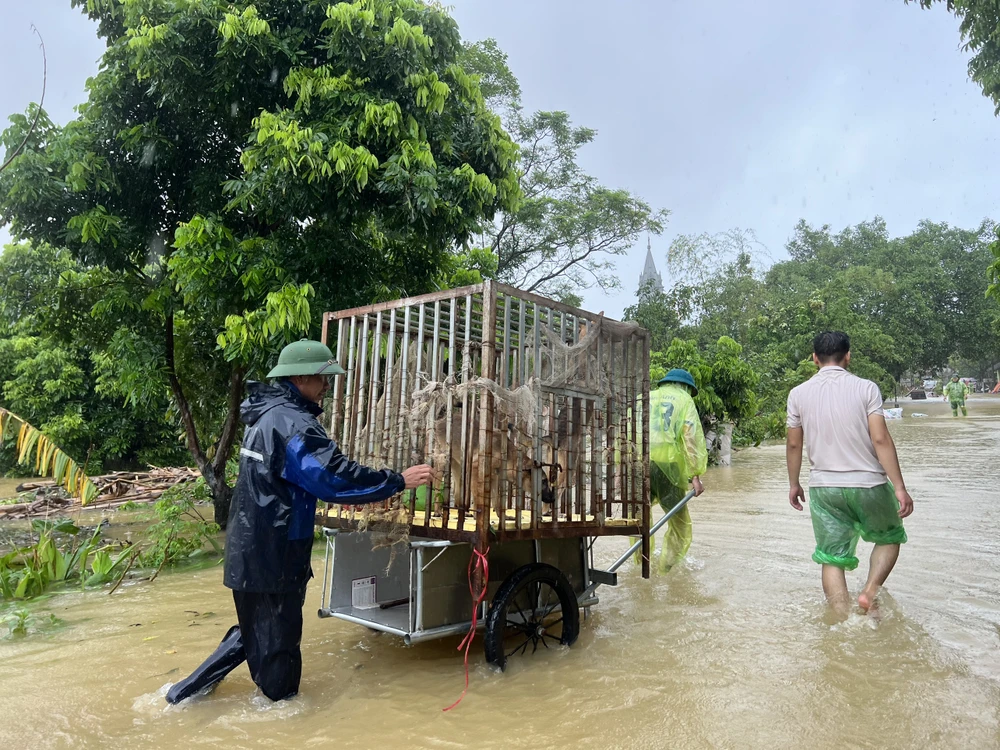 Người dân ven sông Bùi phải di chuyển tài sản vì nước lũ dâng cao gây ngập đường xá, nhà cửa. Ảnh: TP.