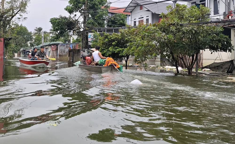 ron-lu-cua-Ha-Noi-7.jpg
