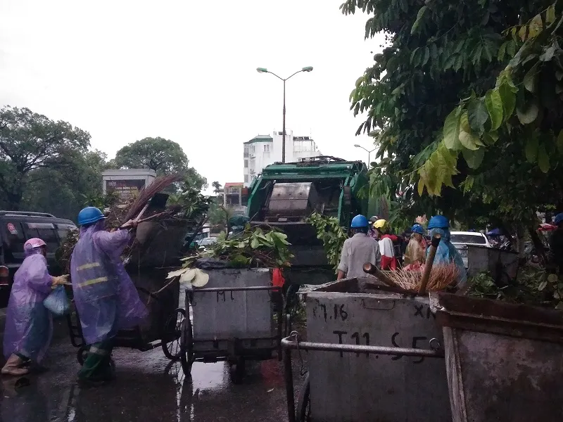 Cây mới trồng trên đường Nguyễn Chí Thanh đua nhau bật gốc sau bão ảnh 7