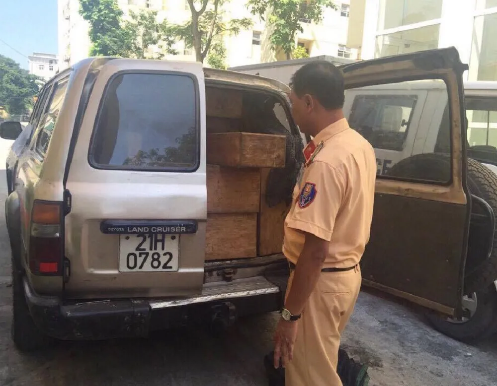 Nhồi nhét 62 khúc gỗ cấm trên chiếc ô tô hạng sang ảnh 1