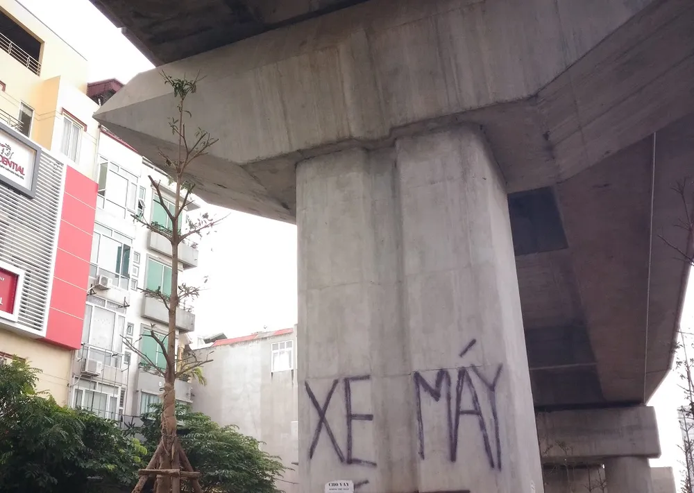 Độc nhất vô nhị: Trồng cây dưới… gầm đường sắt ảnh 5