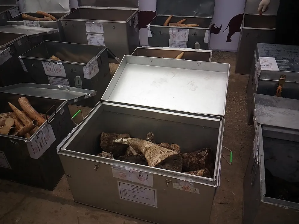 Lần đầu tiên Việt Nam tiêu hủy hơn 2.000 kg ngà voi ảnh 3