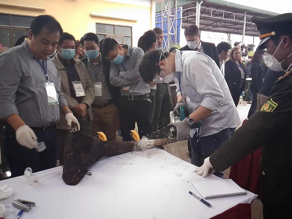 Lần đầu tiên Việt Nam tiêu hủy hơn 2.000 kg ngà voi ảnh 4