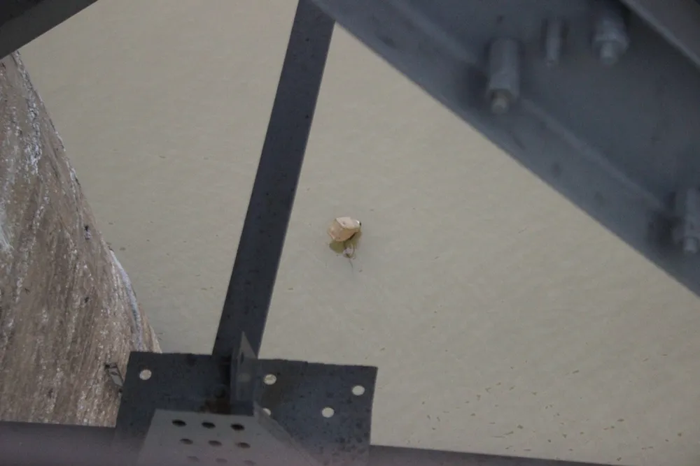 Cận cảnh khu vực phát hiện bom 'khủng' cầu Long Biên ảnh 3 Cận cảnh khu vực phát hiện bom 'khủng' cầu Long Biên ảnh 3