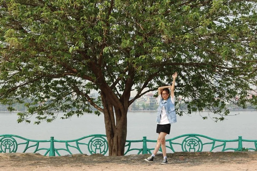 Một số hình ảnh về bạn trẻ check-in tại "cây cô đơn" khi chưa bị chặt. Ảnh: PHAN LIÊN Một số hình ảnh về bạn trẻ check-in tại "cây cô đơn" khi chưa bị chặt. Ảnh: PHAN LIÊN