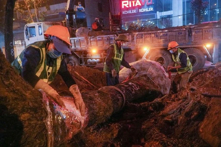 Công nhân di chuyển một cây xanh trên đường Hoàng Quốc Việt, Hà Nội. Ảnh: PHI HÙNG