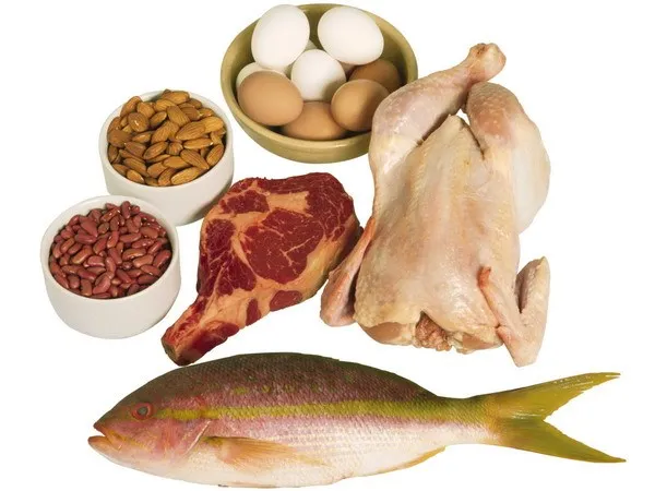 Ăn giàu đạm động vật làm tăng nguy cơ bị ung thư ảnh 1