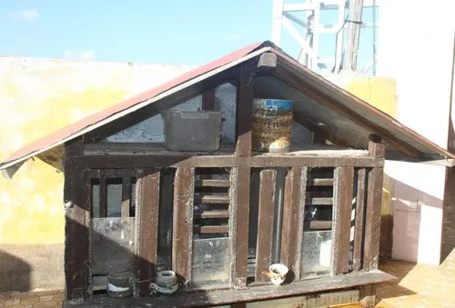 Ngộ nghĩnh 'vườn bách thú' của lính đảo Trường Sa ảnh 24 Ngộ nghĩnh 'vườn bách thú' của lính đảo Trường Sa ảnh 24