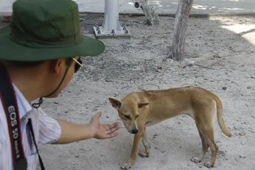 Ngộ nghĩnh 'vườn bách thú' của lính đảo Trường Sa ảnh 11 Ngộ nghĩnh 'vườn bách thú' của lính đảo Trường Sa ảnh 11