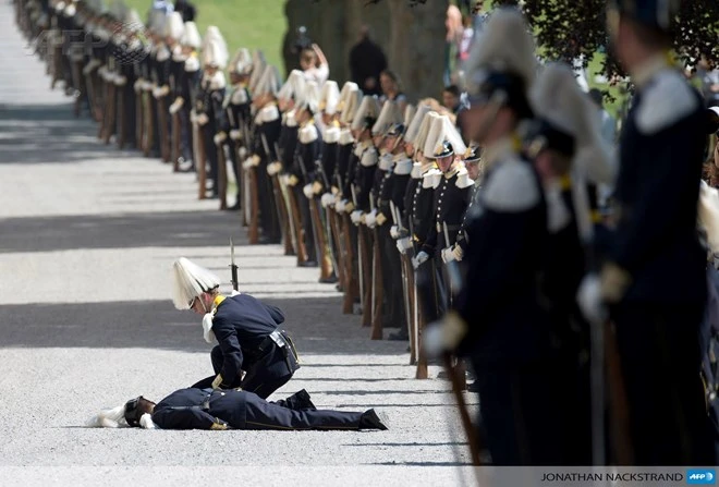 Quân cảnh Hoàng gia Thụy Điển ngất xỉu do say nắng ảnh 1