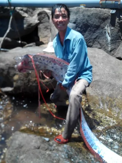 Những “thủy quái” trên Biển Đông ảnh 2