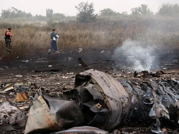 Tám kịch bản giải thích tai nạn máy bay MH17 ở Ukraine ảnh 1