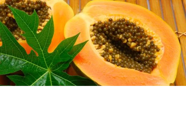 5 thực phẩm dễ kiếm trị chứng chướng bụng, đầy hơi ảnh 3