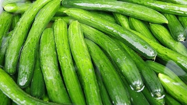 5 thực phẩm dễ kiếm trị chứng chướng bụng, đầy hơi ảnh 1