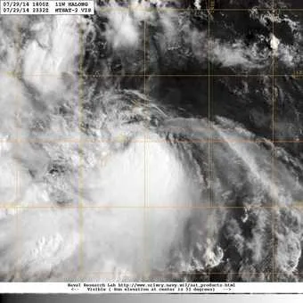 Tin bão mới nhất: Bão Hạ Long có thể vào Biển Đông ảnh 4