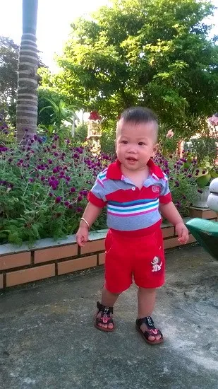 Các cơ quan chức năng Hà Nội làm rõ việc “bán trẻ ở chùa Bồ Đề” ảnh 3