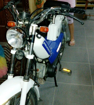 Ba báu vật hiếm có của “vua” đồ cổ Thái Bình ảnh 5 Ba báu vật hiếm có của “vua” đồ cổ Thái Bình ảnh 5