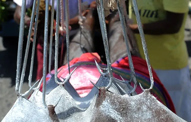 Đừng sốc: Đây chỉ là hình ảnh những tín đồ xỏ khuyên kì dị ảnh 11