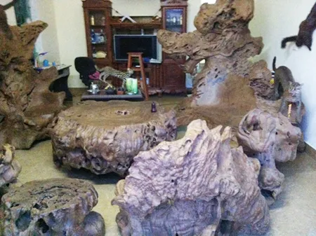 Choáng ngợp với bộ gỗ gù hương của dân chơi Thái Bình ảnh 1