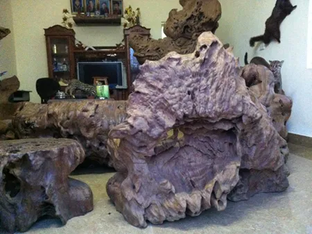 Choáng ngợp với bộ gỗ gù hương của dân chơi Thái Bình ảnh 4