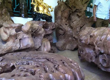 Choáng ngợp với bộ gỗ gù hương của dân chơi Thái Bình ảnh 9