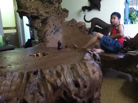 Choáng ngợp với bộ gỗ gù hương của dân chơi Thái Bình ảnh 3