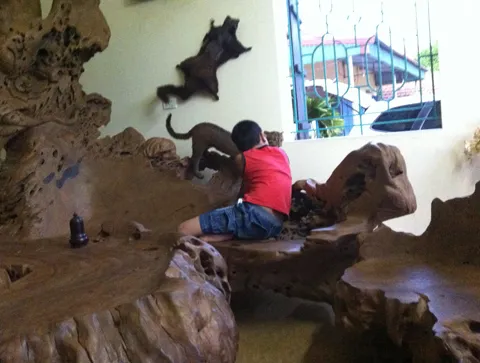 Choáng ngợp với bộ gỗ gù hương của dân chơi Thái Bình ảnh 8