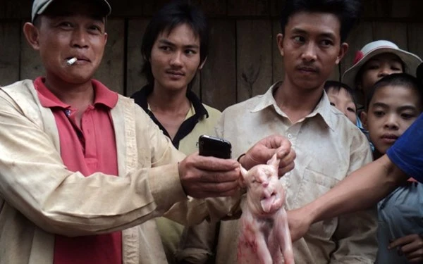 'Quái vật' mình heo đầu voi rúng động Đắk Lắk ảnh 3