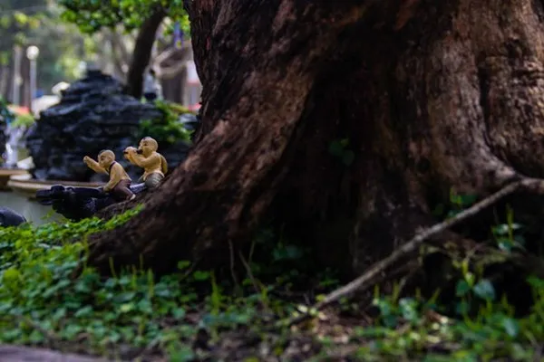 Những tiểu cảnh, bon sai vô giá ở hội hoa xuân Sài Gòn ảnh 11