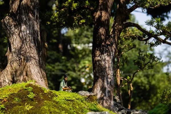 Những tiểu cảnh, bon sai vô giá ở hội hoa xuân Sài Gòn ảnh 3