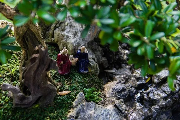 Những tiểu cảnh, bon sai vô giá ở hội hoa xuân Sài Gòn ảnh 8