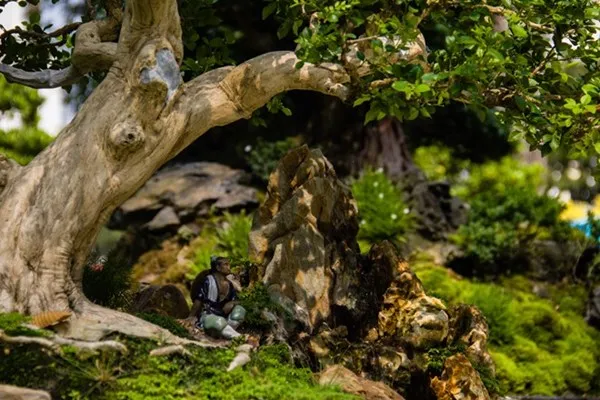 Những tiểu cảnh, bon sai vô giá ở hội hoa xuân Sài Gòn ảnh 10