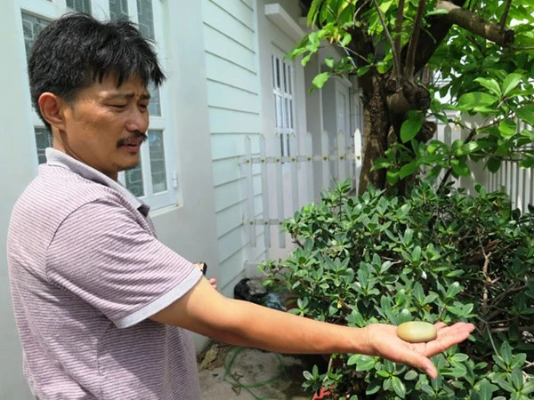 Kỳ lạ hòn đá phát sáng xanh lét ảnh 2