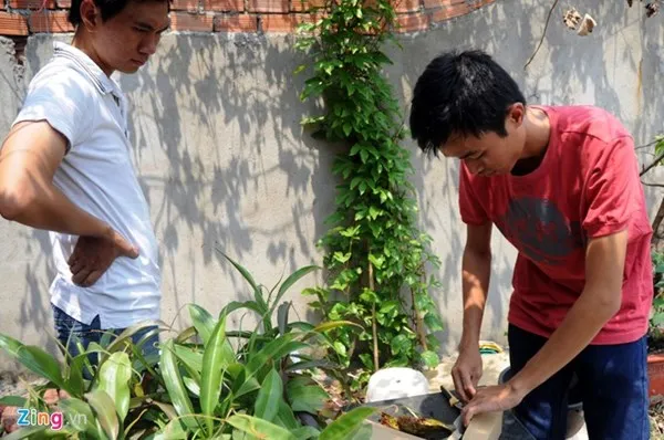 Tận thấy thú chơi 'cây ăn thịt' ở Sài Gòn ảnh 10