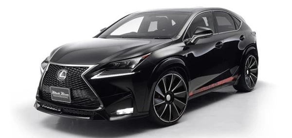 Lóa mắt với Lexus NX độ phong cách VIP của Nhật ảnh 12