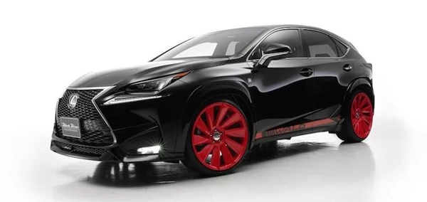 Lóa mắt với Lexus NX độ phong cách VIP của Nhật ảnh 13