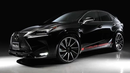 Wald International - một hãng chuyên 