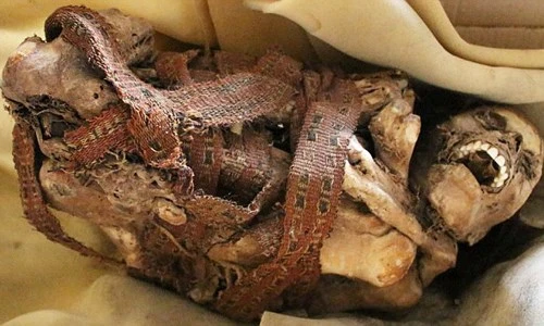 Chết ngất khi phát hiện xác ướp 900 năm mỉm cười ảnh 1