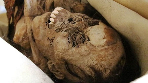 Chết ngất khi phát hiện xác ướp 900 năm mỉm cười ảnh 2