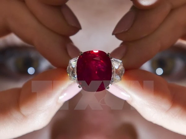 Chiêm ngưỡng viên hồng ngọc đắt nhất thế giới tại Thụy Sĩ ảnh 1