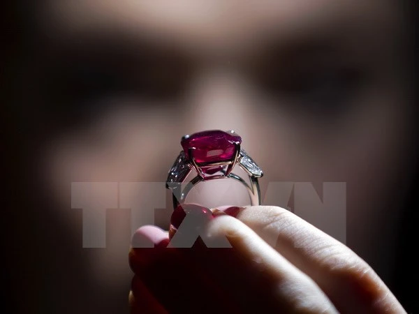 Chiêm ngưỡng viên hồng ngọc đắt nhất thế giới tại Thụy Sĩ ảnh 2