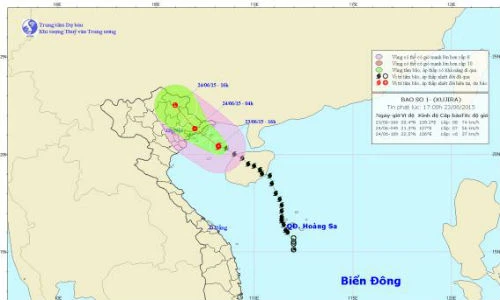 Con bao so 1 cach bo bien Quang Ninh, Hai Phong 150km