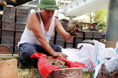 Phát hiện gần 200 bộ hài cốt trước cổng trường Đại học ảnh 4