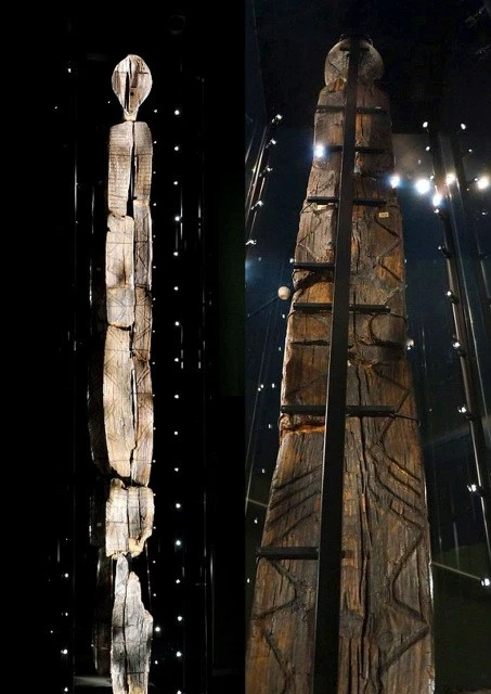 Bí ẩn tượng gỗ 11 vạn năm không mục nát - ảnh 2