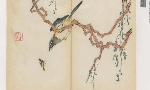 Cổ thư in màu vẹn nguyên kỳ lạ suốt 300 năm - ảnh 11